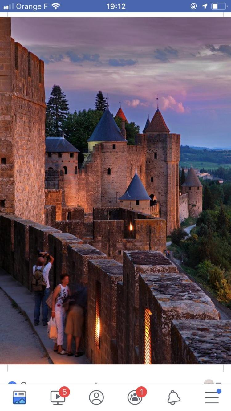 L'Oree De La Cite Villa Carcassonne Eksteriør billede