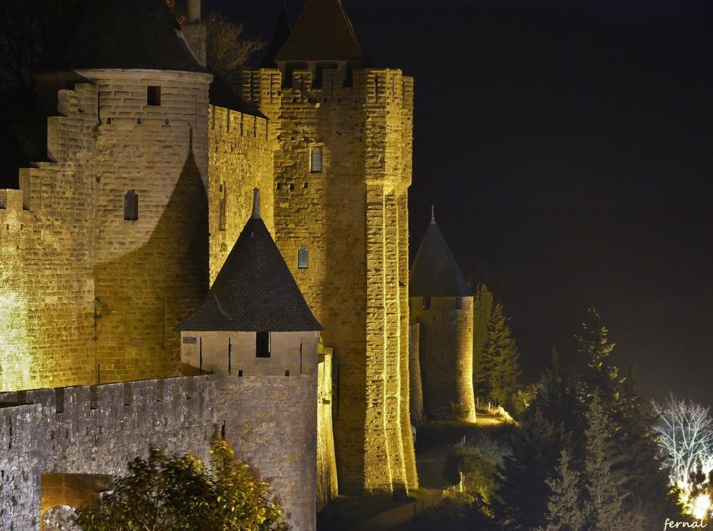 L'Oree De La Cite Villa Carcassonne Eksteriør billede